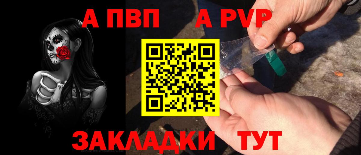 Alfa_PVP СК Белгород