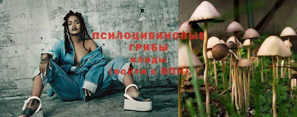 гидра Алексин
