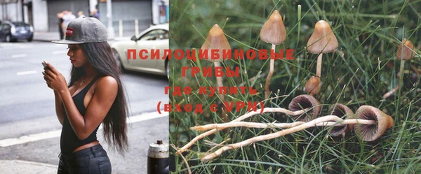 гидра Алексин