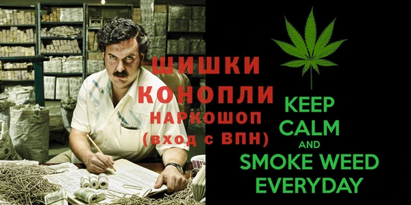 гидра Алексин