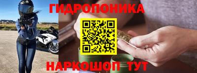 соль ск Шелехов