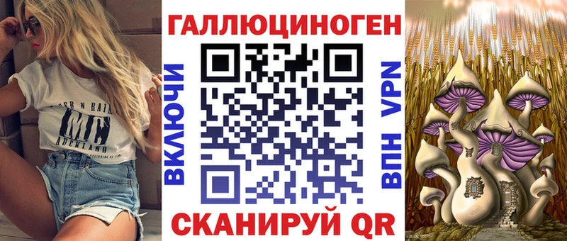 наркошоп  Белгород  Псилоцибиновые грибы Psilocybine cubensis 
