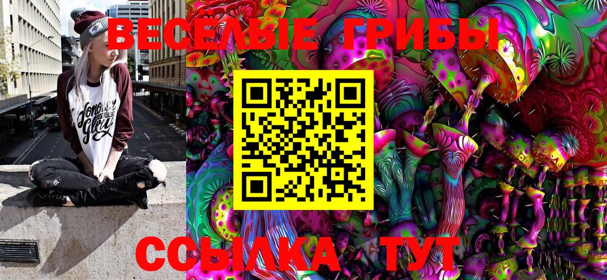 Галлюциногенные грибы Cubensis Белгород